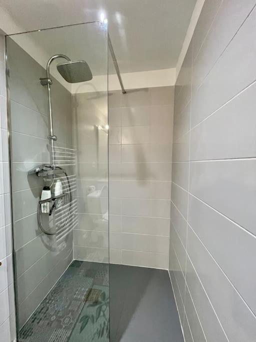 Appartement Confort - Carcassonne Centre Bagian luar foto